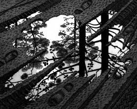 Escher Puddle - regenplas